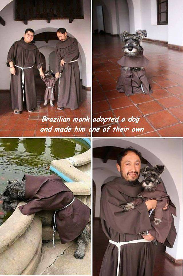 Daily Picdump