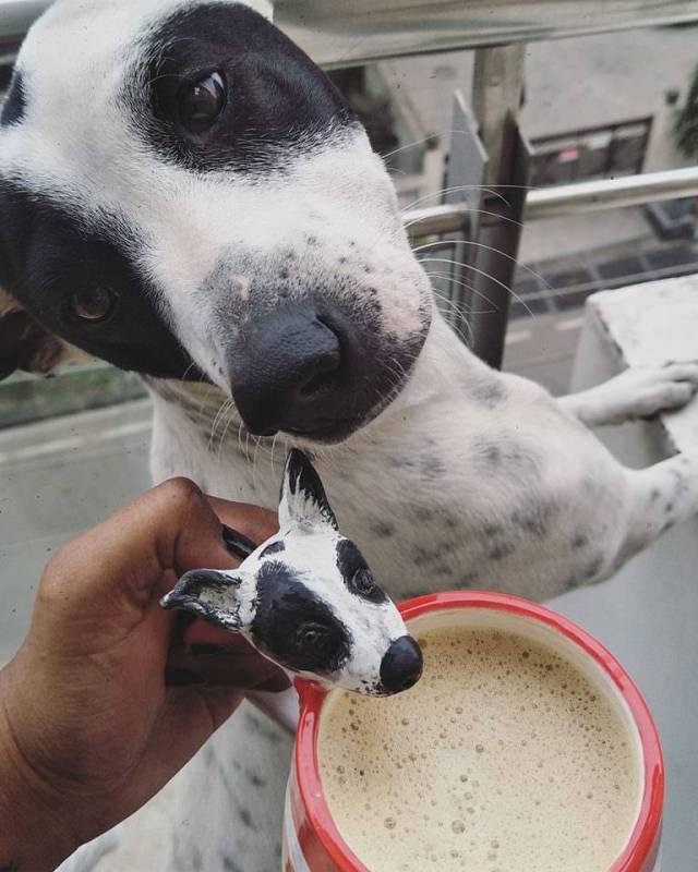 daily picdump 98 pics 35.html - 98 HD Photos | Premium Gallery 2018