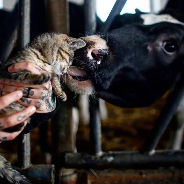 daily picdump 102 pics 24.html - 102 HD Photos | Premium Gallery 2018