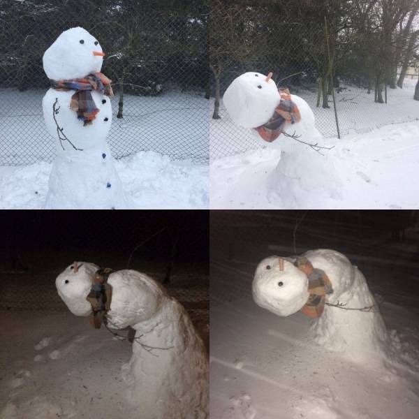 daily picdump 102 pics 24.html - 102 HD Photos | Premium Gallery 2018