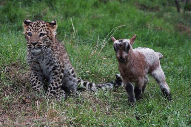 daily picdump 102 pics 24.html - 102 HD Photos | Premium Gallery 2018