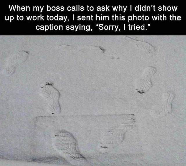 daily picdump 102 pics 24.html - 102 HD Photos | Premium Gallery 2018