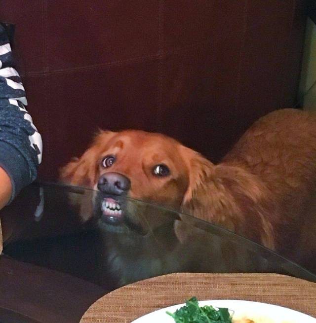 daily picdump 102 pics 24.html - 102 HD Photos | Premium Gallery 2018