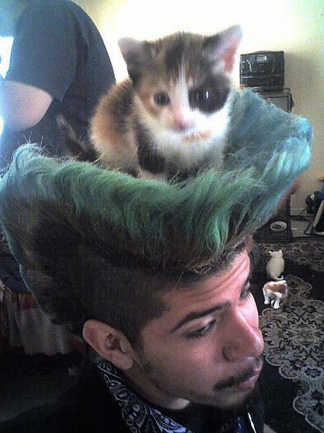 daily picdump 102 pics 24.html - 102 HD Photos | Premium Gallery 2018