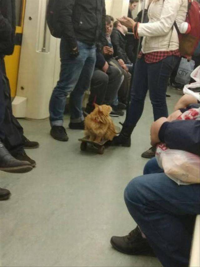 daily picdump 102 pics 24.html - 102 HD Photos | Premium Gallery 2018