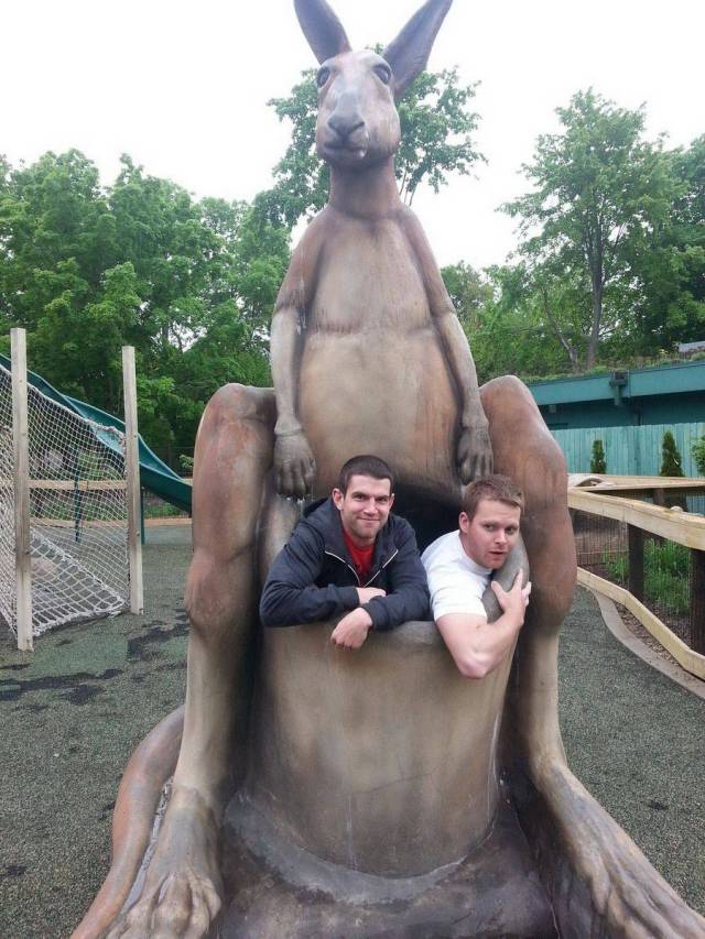 daily picdump 102 pics 24.html - 102 HD Photos | Premium Gallery 2018