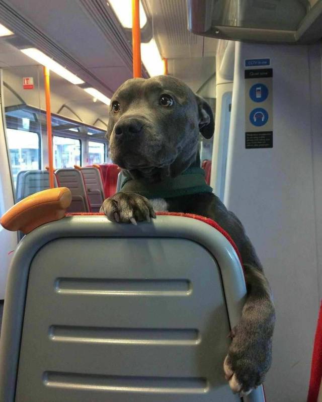 daily picdump 102 pics 24.html - 102 HD Photos | Premium Gallery 2018