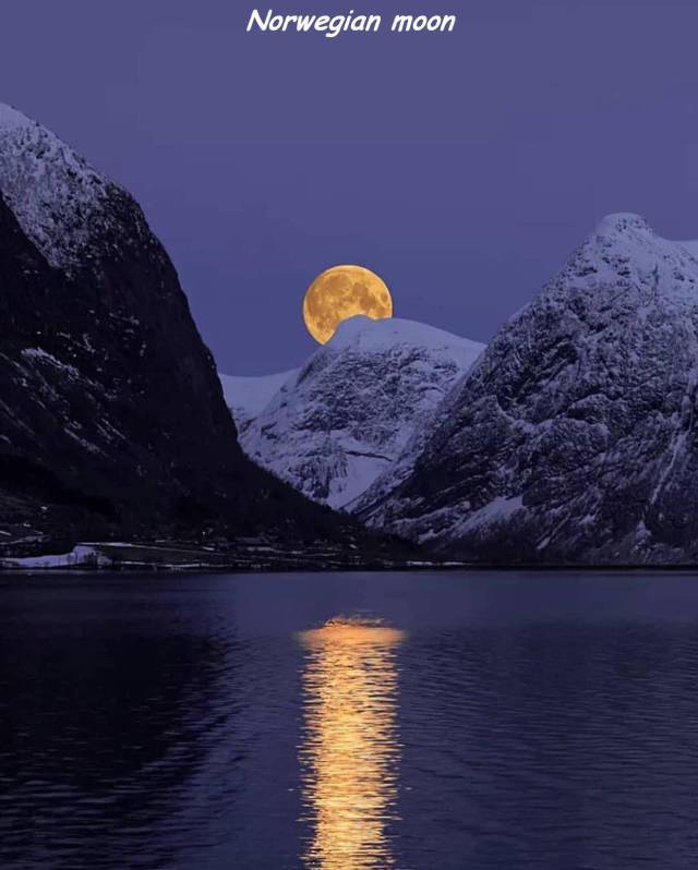 daily picdump 102 pics 24.html - 102 HD Photos | Premium Gallery 2018