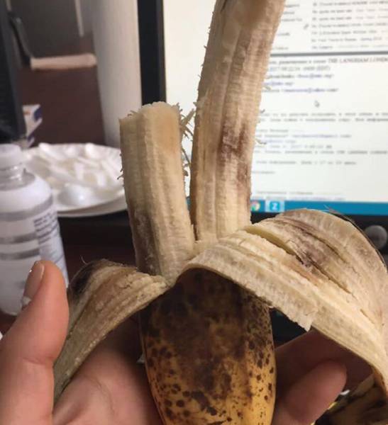 morning picdump 50 pics 22.html - 50 HD Photos | Premium Gallery 2018