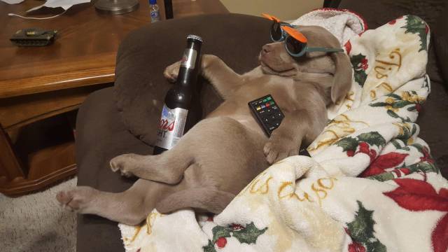 morning picdump 50 pics 22.html - 50 HD Photos | Premium Gallery 2018