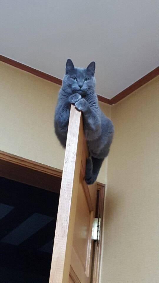 morning picdump 50 pics 22.html - 50 HD Photos | Premium Gallery 2018