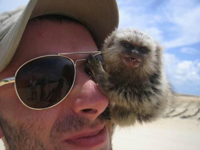 daily picdump 95 pics 4.html - 95 HD Photos | Premium Gallery 2018