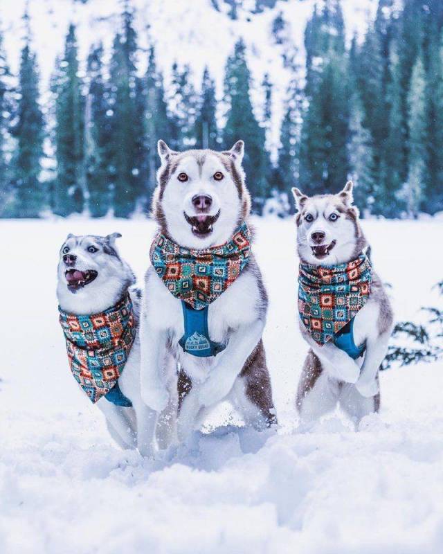 daily picdump 95 pics 4.html - 95 HD Photos | Premium Gallery 2018