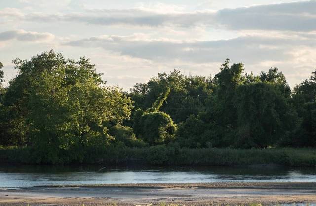 Dirty Mind, Come Here!