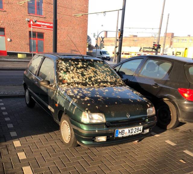 morning picdump 50 pics 8.html - 50 HD Photos | Premium Gallery 2018