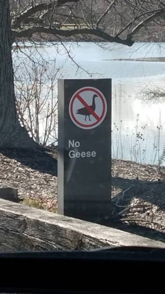 morning picdump 50 pics 8.html - 50 HD Photos | Premium Gallery 2018