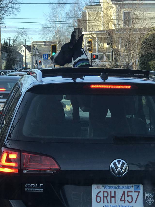 morning picdump 50 pics 8.html - 50 HD Photos | Premium Gallery 2018