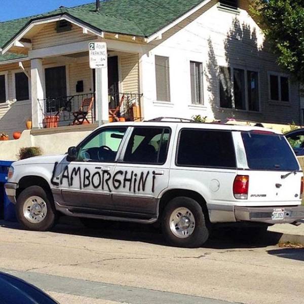 Daily Picdump