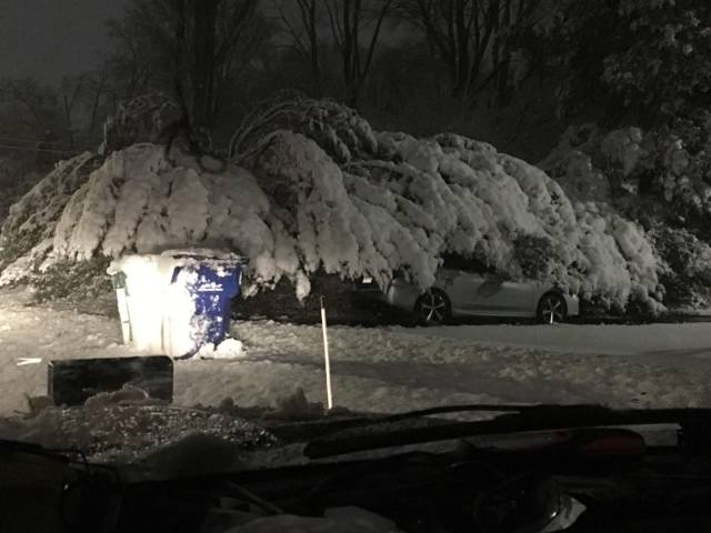 daily picdump 94 pics 4.html - 94 HD Photos | Premium Gallery 2018