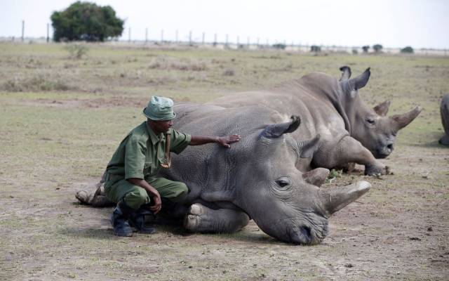 daily picdump 94 pics 4.html - 94 HD Photos | Premium Gallery 2018