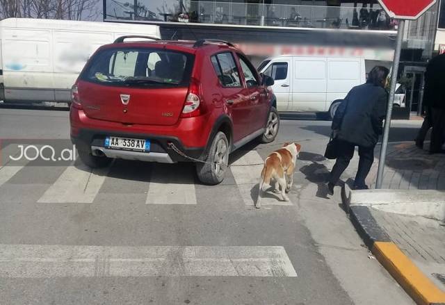 daily picdump 94 pics 4.html - 94 HD Photos | Premium Gallery 2018