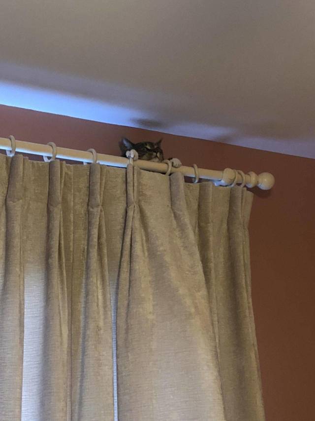 daily picdump 94 pics 4.html - 94 HD Photos | Premium Gallery 2018