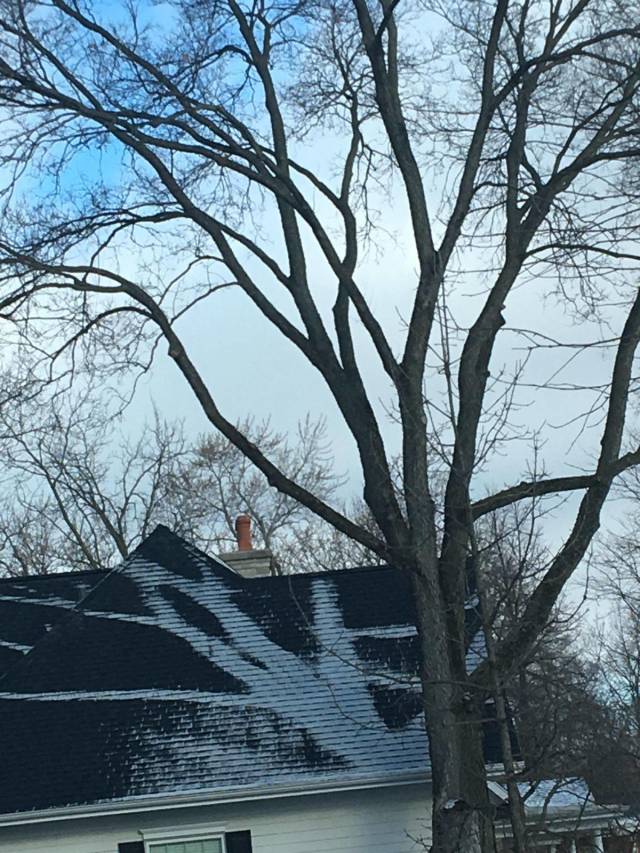 daily picdump 94 pics 4.html - 94 HD Photos | Premium Gallery 2018