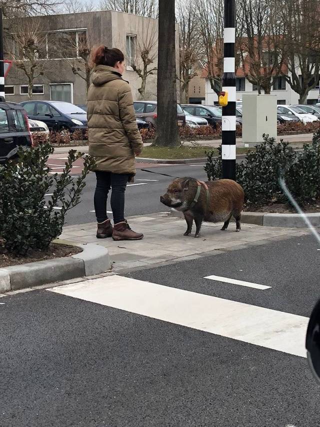 daily picdump 94 pics 4.html - 94 HD Photos | Premium Gallery 2018