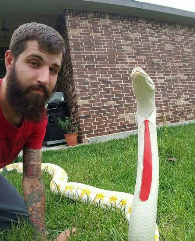 daily picdump 94 pics 4.html - 94 HD Photos | Premium Gallery 2018