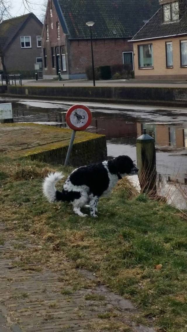 daily picdump 94 pics 4.html - 94 HD Photos | Premium Gallery 2018