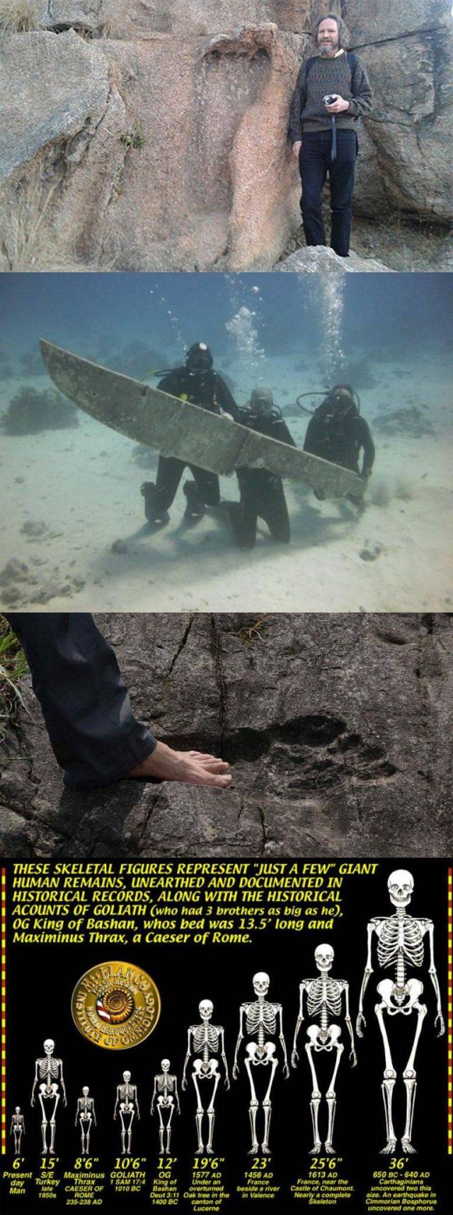 daily picdump 94 pics 4.html - 94 HD Photos | Premium Gallery 2018