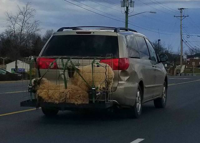 morning picdump 50 pics 12.html - 50 HD Photos | Premium Gallery 2018