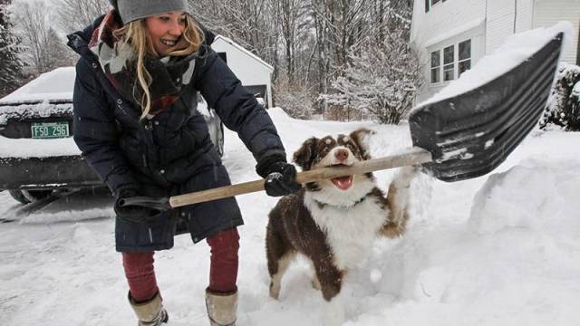 Daily Picdump