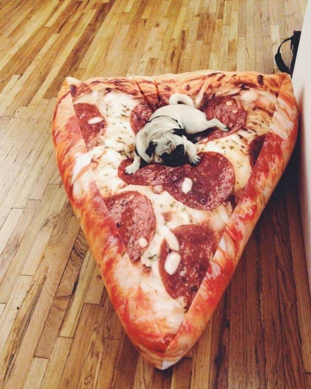 Daily Picdump