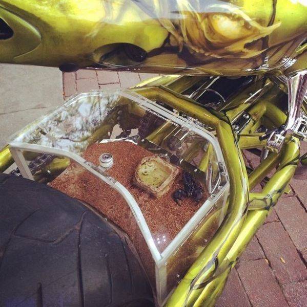 Morning Picdump