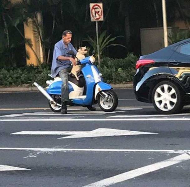 daily picdump 105 pics 21.html - 105 HD Photos | Premium Gallery 2018