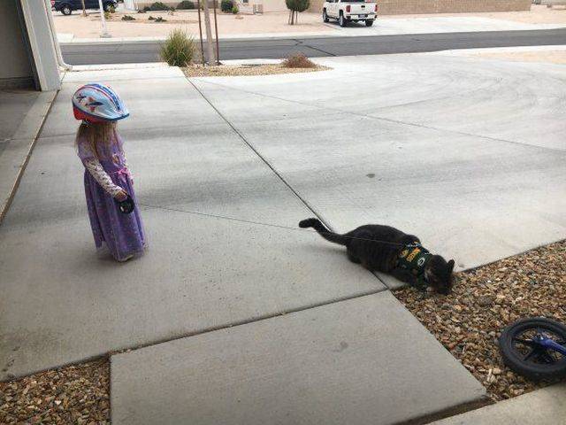 daily picdump 105 pics 21.html - 105 HD Photos | Premium Gallery 2018