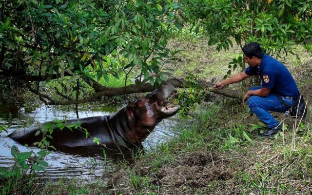 daily picdump 105 pics 21.html - 105 HD Photos | Premium Gallery 2018