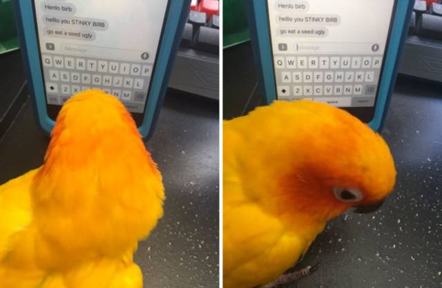 daily picdump 105 pics 21.html - 105 HD Photos | Premium Gallery 2018