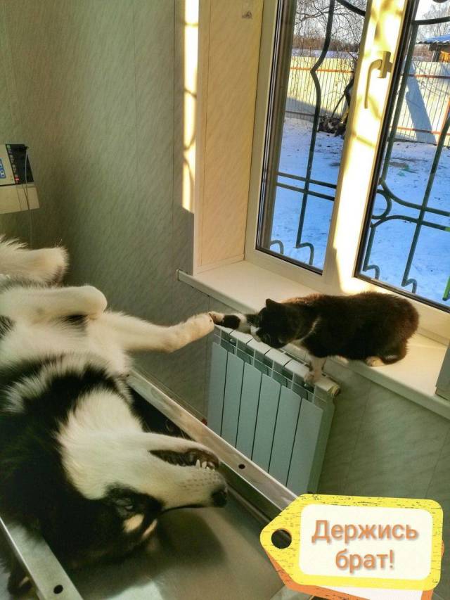 daily picdump 105 pics 21.html - 105 HD Photos | Premium Gallery 2018