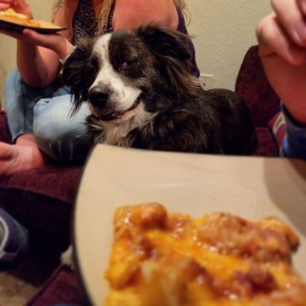 Daily Picdump