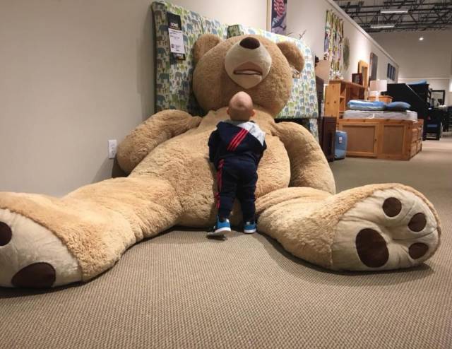 daily picdump 100 pics 40.html - 100 HD Photos | Premium Gallery 2018