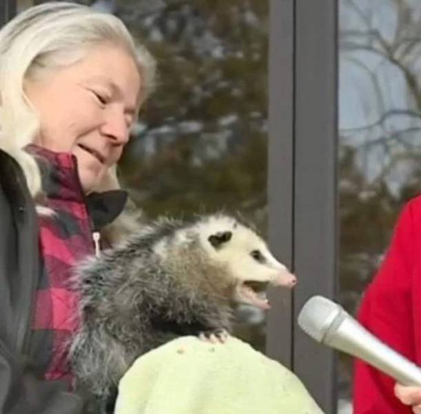 daily picdump 100 pics 40.html - 100 HD Photos | Premium Gallery 2018