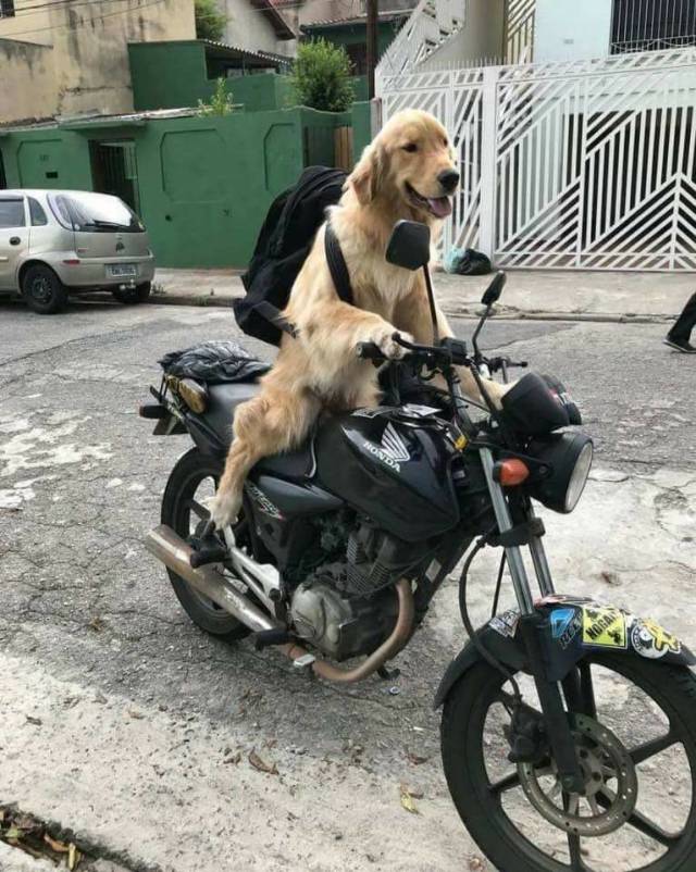 Daily Picdump