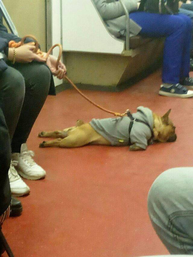 Daily Picdump