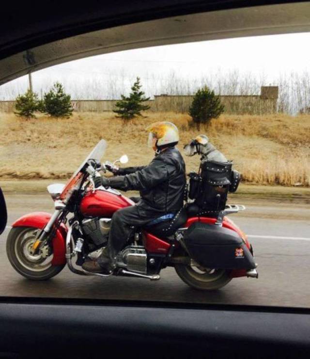 daily picdump 100 pics 40.html - 100 HD Photos | Premium Gallery 2018