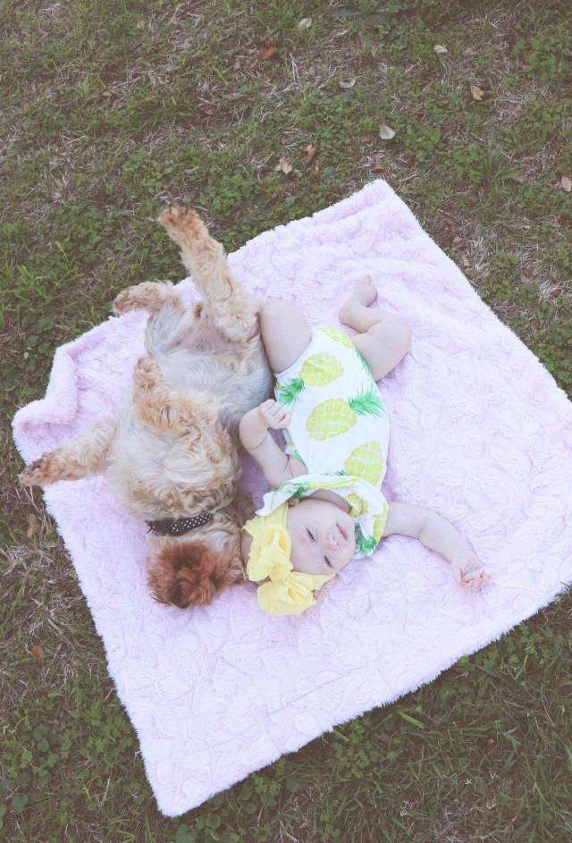 daily picdump 100 pics 40.html - 100 HD Photos | Premium Gallery 2018