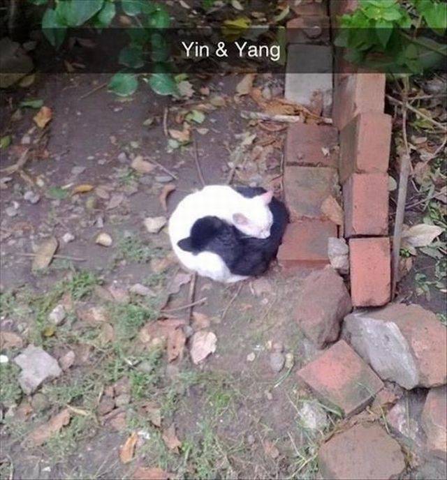 daily picdump 100 pics 40.html - 100 HD Photos | Premium Gallery 2018