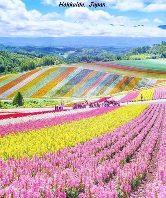 daily picdump 100 pics 40.html - 100 HD Photos | Premium Gallery 2018