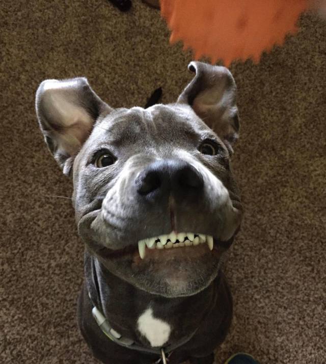 daily picdump 100 pics 40.html - 100 HD Photos | Premium Gallery 2018